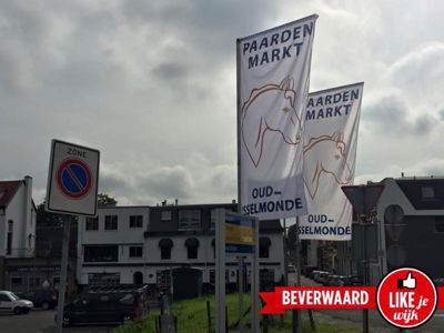 Foto 8 uit Paardenmarkt29-6