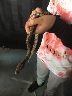 Foto 8 uit HALLOWEEN2016