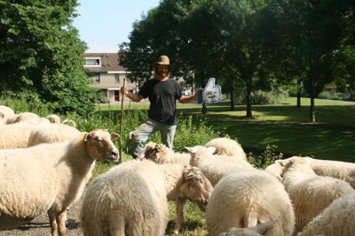 Foto 10 uit OpFotoinBeverwaard