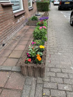 Foto 32 uit Lente En Zomer 2022