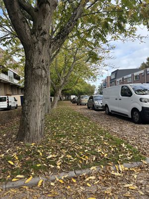Foto 48 uit X-Herfst Verschillende jaren  2026