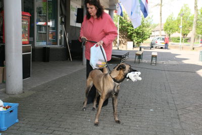 Foto 7 uit 5 Mei Viering Focus