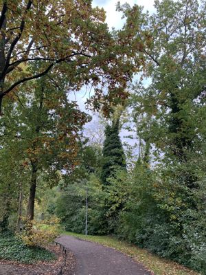 Foto 8 uit X-Herfst Verschillende jaren  2026
