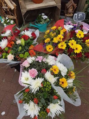 Foto 315 uit NeelyshaBloemen