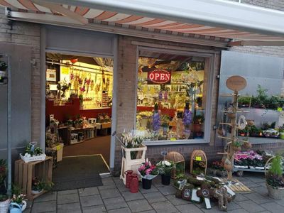 Foto 14 uit NeelyshaNieuweZaak