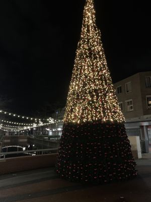 Foto 8 uit Grote Kerstboom WC