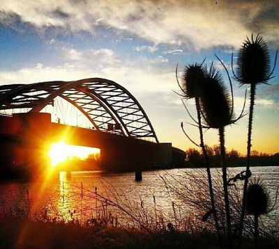 Foto 368 uit BRIENENOORDBRUG