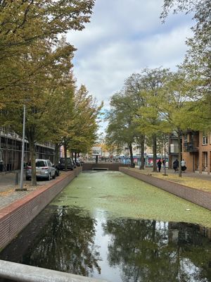 Foto 37 uit X-Herfst Verschillende jaren  2026