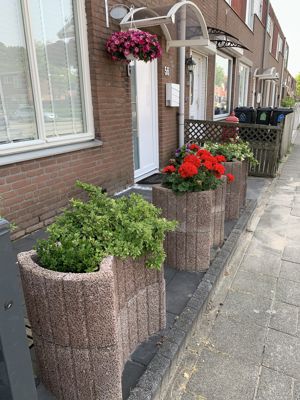 Foto 128 uit Rondje Beverwaard 2026