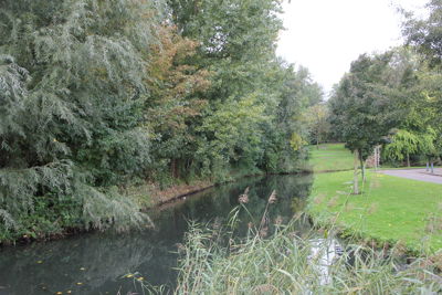 Foto 195 uit Herfst In Beverwaard