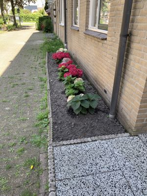 Foto 339 uit Rondje Beverwaard 2026