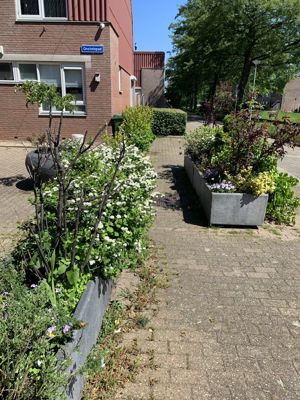 Foto 278 uit StratenBEVERWAARD