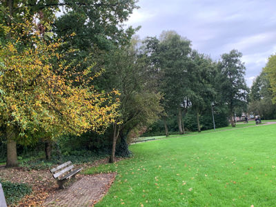 Foto 89 uit Herfst In Beverwaard