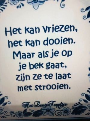 Foto 37 uit X- Sneeuw in de Beverwaard 2026