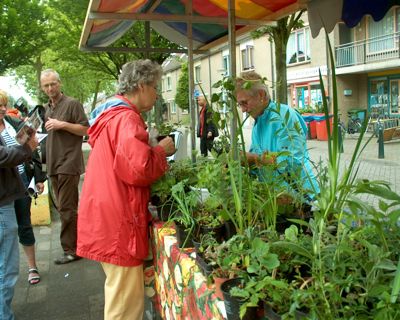 Foto 61 uit opzoomeren 29_5_8