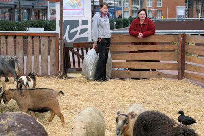 Foto 9 uit Sinterklaas 2009B.W