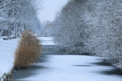 Foto 20 uit Kerst Beverwaard09