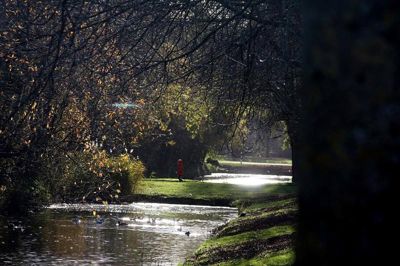 Foto 70 uit Herfst In Beverwaard