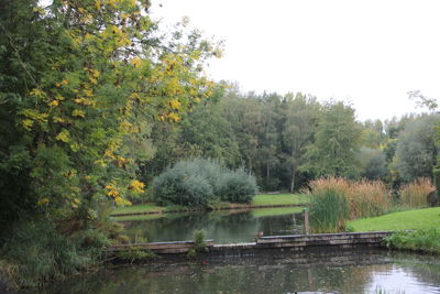 Foto 98 uit Herfst In Beverwaard