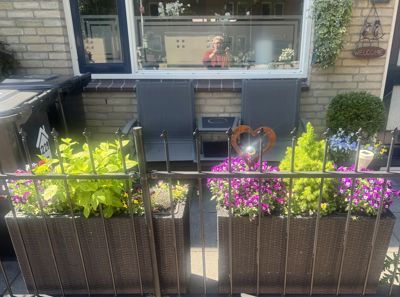 Foto 517 uit Rondje Beverwaard 2026