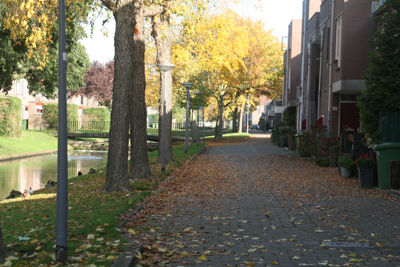 Foto 384 uit StratenBEVERWAARD