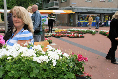 Foto 86 uit OpzoomerenPlantjes