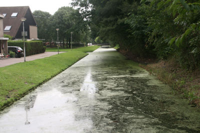 Foto 187 uit StratenBEVERWAARD