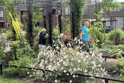 Foto 323 uit TropischeTuin 2017