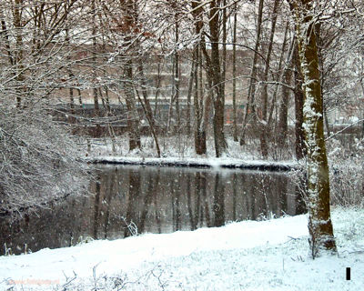 Foto 167 uit WinterIn Beverwaard