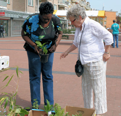 Foto 50 uit Tuin-Academie25-4_9