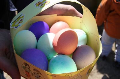 Foto 21 uit PasenStormpolder_2