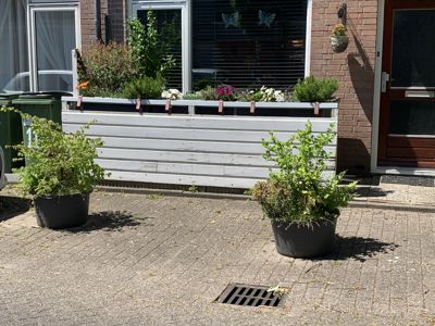 Foto 60 uit Rondje Beverwaard 2026