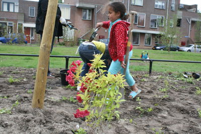 Foto 49 uit Tropische Buurttuin