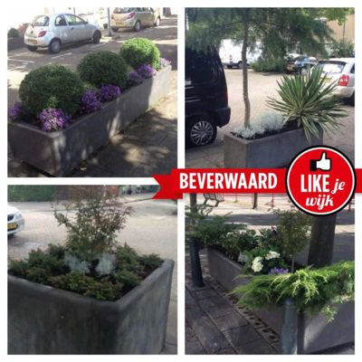 Foto 54 uit LIKEJEWIJK-2016