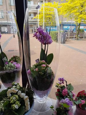 Foto 101 uit NeelyshaBloemen