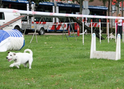 Foto 137 uit Wijkfeest12-09-2009
