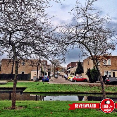 Foto 165 uit LIKEJEWIJK FOTO'S