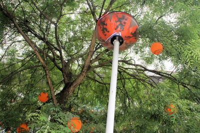 Foto 9 uit BeverwaardOranjeWk