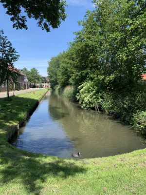 Foto 53 uit Lente En Zomer 2022