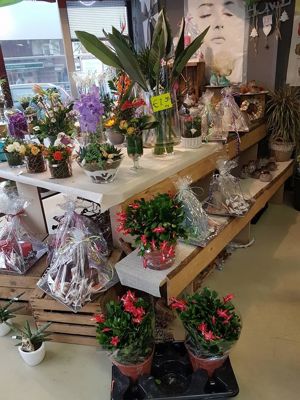 Foto 6 uit NeelyshaBloemen