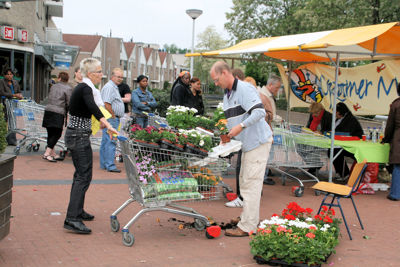 Foto 116 uit OpzoomerenPlantjes