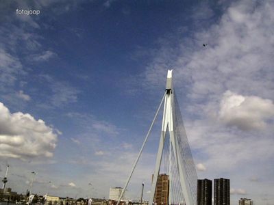 Foto 56 uit red bull air race r.dam