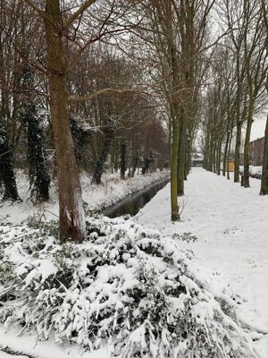 Foto 151 uit WinterIn Beverwaard