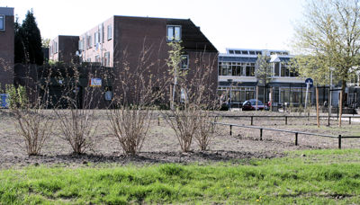 Foto 209 uit TropischeTuin 2017