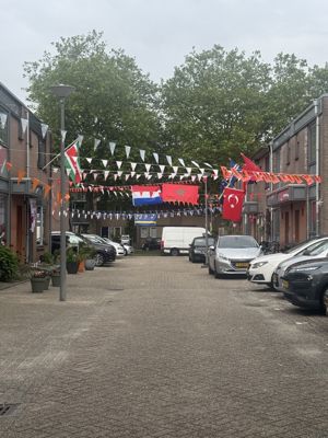 Foto 47 uit X-Oranje Gevoel in DE Beverwaard 2026 Geplaatst 24-5-26 en 14-6 Nederland-Japan.