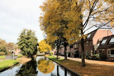 Foto 54 uit Herfst In Beverwaard