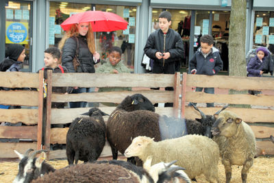Foto 48 uit Sinterklaas 2009B.W