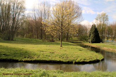 Foto 500 uit StratenBEVERWAARD