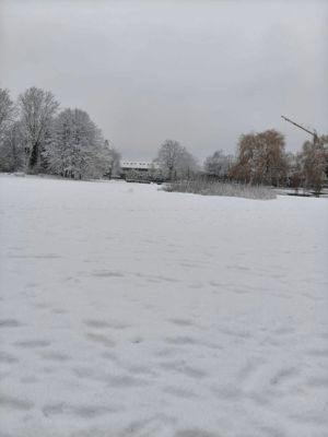 Foto 25 uit X- Sneeuw in de Beverwaard 2026