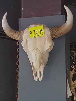 Foto 256 uit NeelyshaBloemen